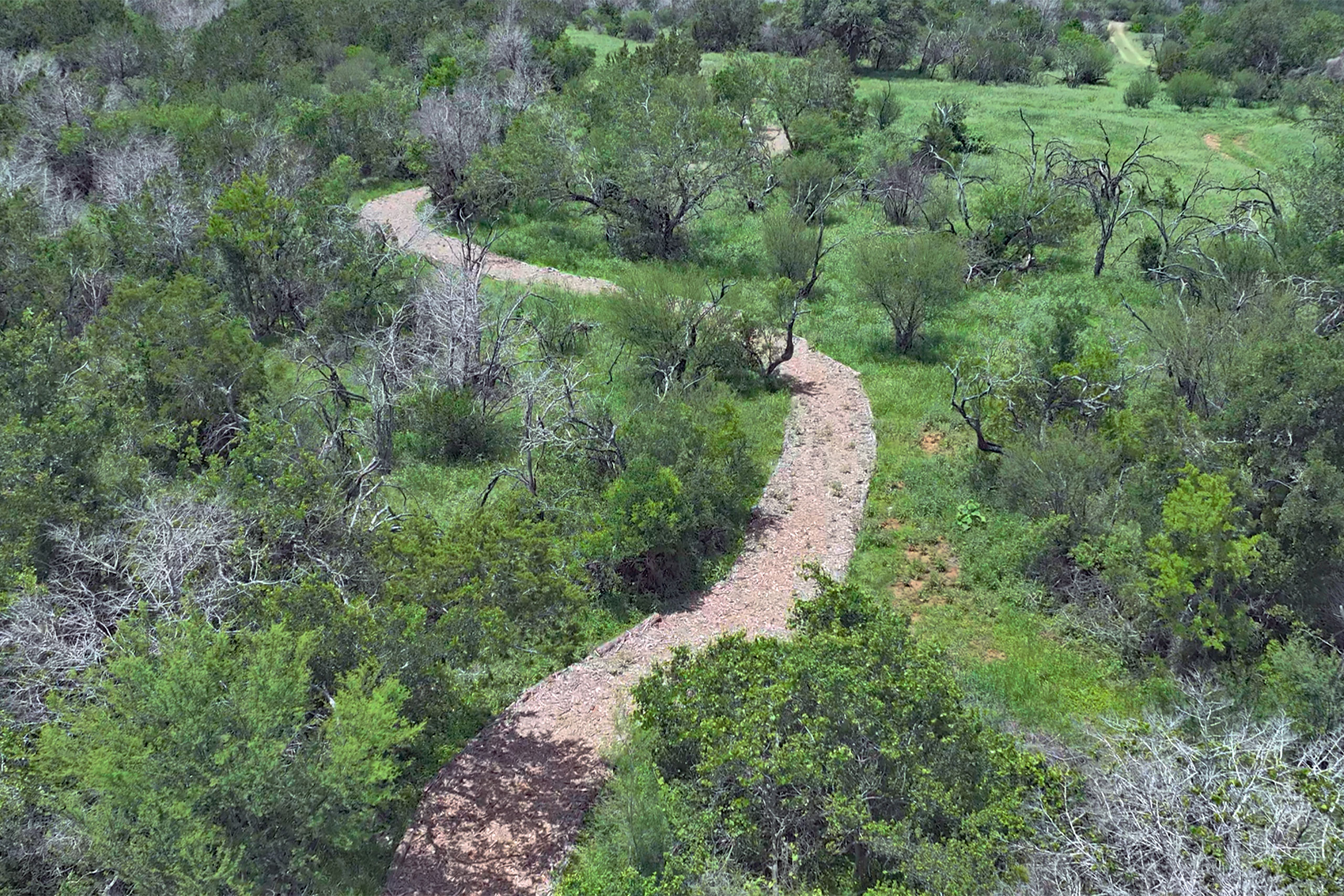 trails